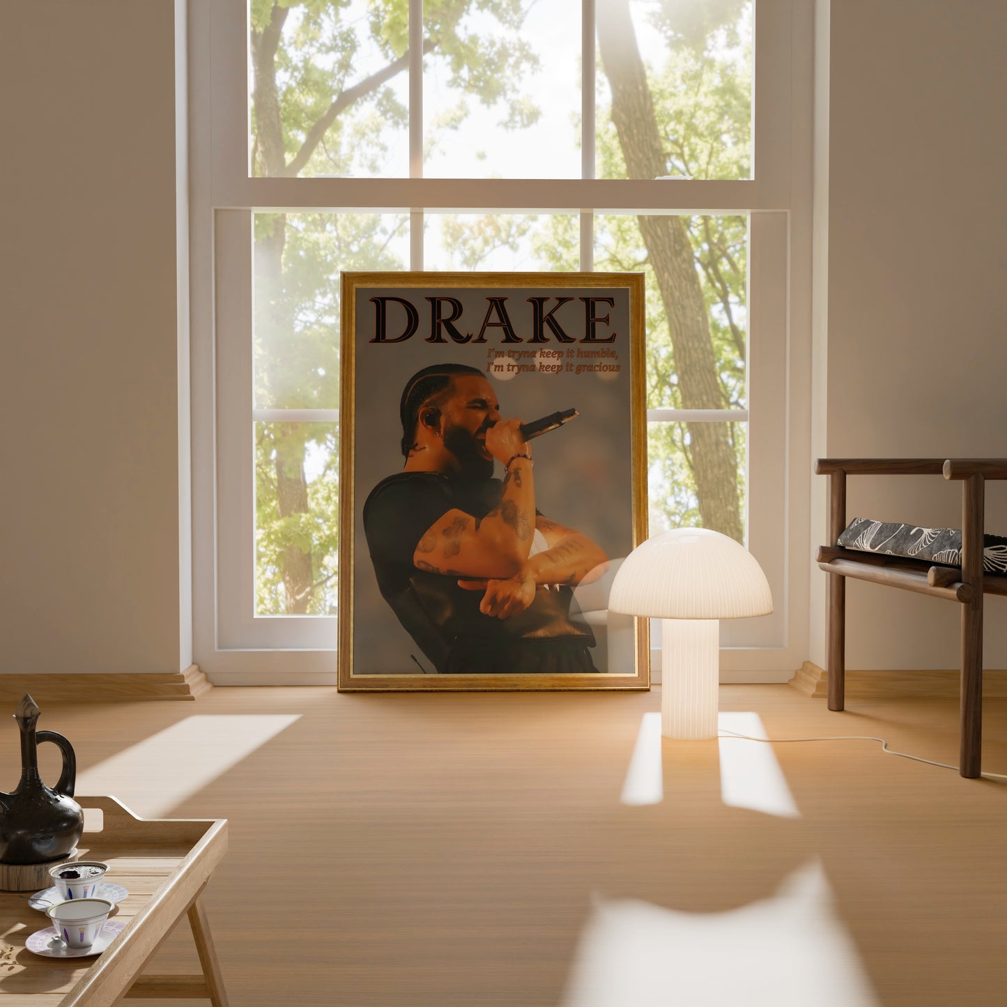 Drake Poster Frame