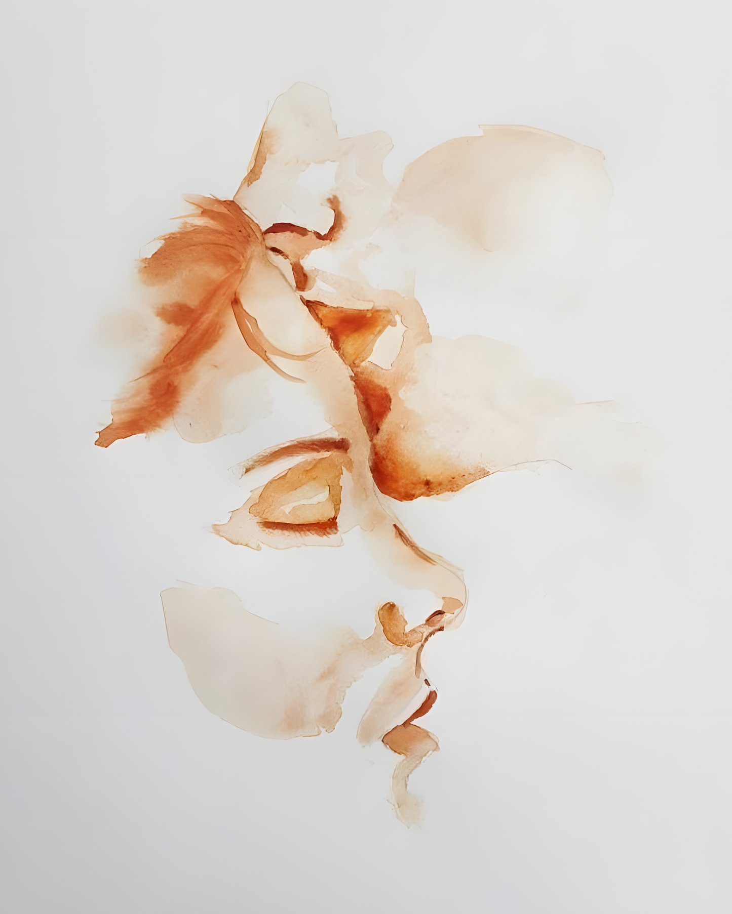 Delicate Orange Blossom Botanical Art Frame